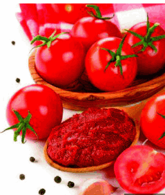 تصویر 2 از رب گوجه فرنگی تک نفره مناسب رستوران‌ها و مصرف سریع